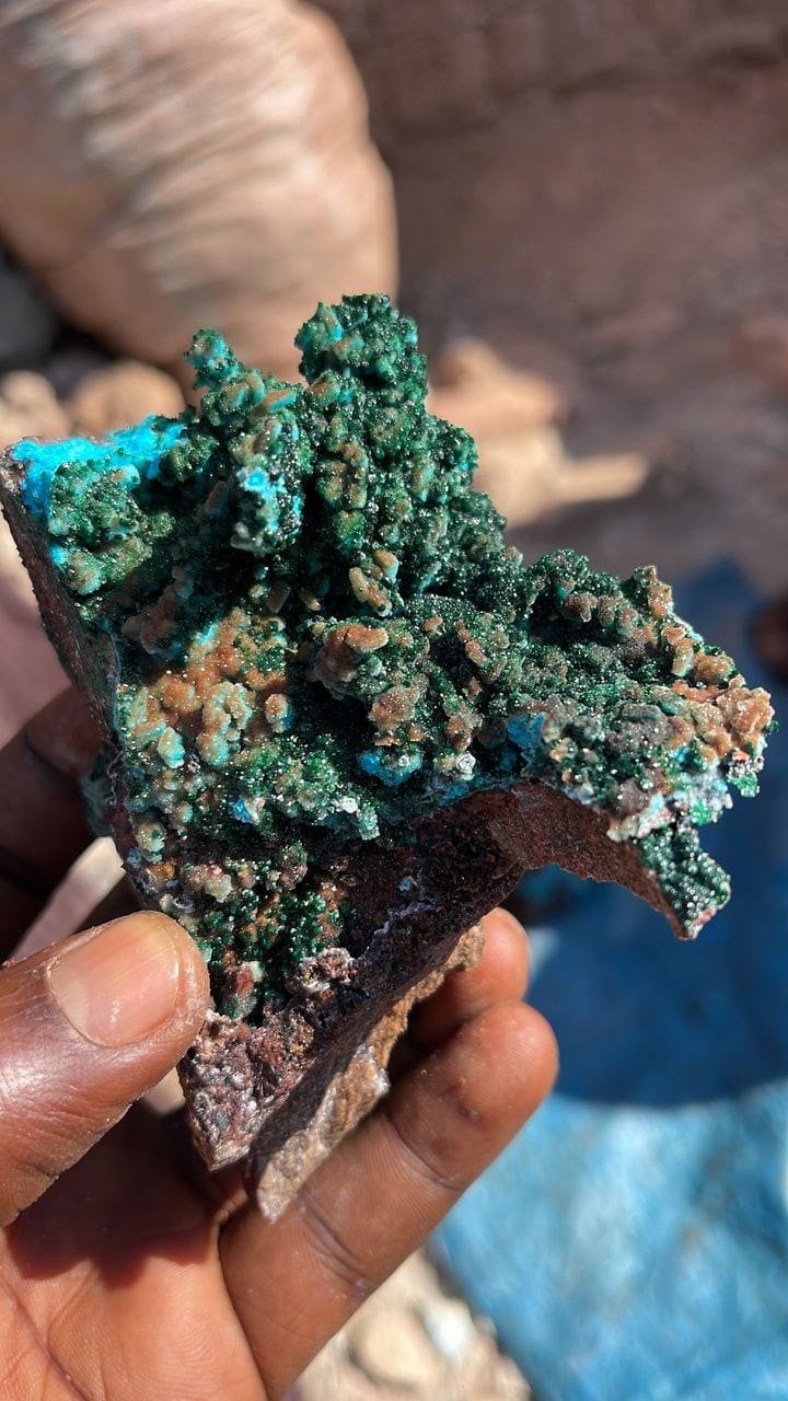 Crystallized malachite on Chrysocolla and druzy QUARTZ. From Tenke Fungurume, Katanga D R Congo 🇨🇩
