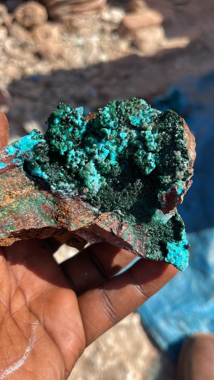 Crystallized malachite on Chrysocolla. From Tenke Fungurume, Katanga D R Congo 🇨🇩