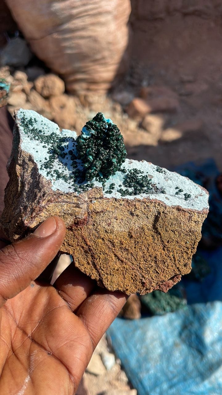 A unique crystallized malachite on Chrysocolla. From Tenke Fungurume Katanga D R Congo