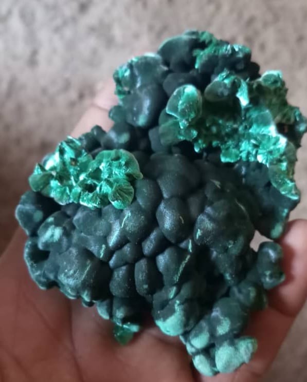 Malachite velvet from kalukuluku, lubumbashi Katanga D R Congo 🇨🇩